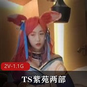 TS紫苑2V-1.1G