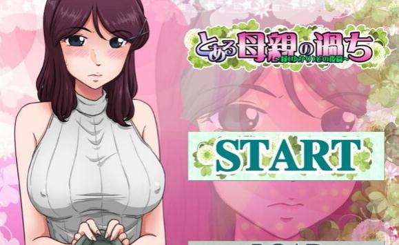 某位母亲的过错：绿之篇工动态CG无圣光破解版