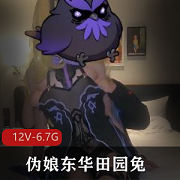 推特CD系列精品推荐：红人伪娘东华田园兔，12V6.7G高清视频作品，剧情精彩，游戏互动，某处大战必备！