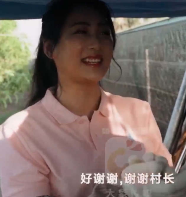 传媒新15v9.1g：百度上新出现的27部视频资源