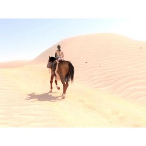 口味重，BreakingTheQuiet：静静与马震撼互动五集全