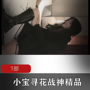 小宝寻花战神精品