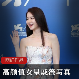 高颜值女星戚薇作品作品合集，视频照片2.73G，尽显魅力风采