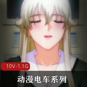 岛国动漫电车系列合集：10V，1.1G，全系列，20分钟以上，女主无圣光