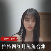 推特网红月兔兔合集[19V-495M]：高能短视频精华舞蹈颜值身材下载观看