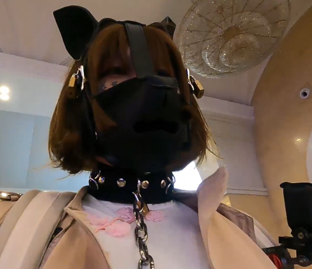 满月之夜视频小合集：恶趣味收藏，17.9G闪现购买