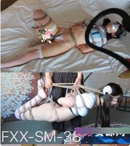 FXX最全合集视频高清：74个视频共127G，截至2021.12.27超值珍藏