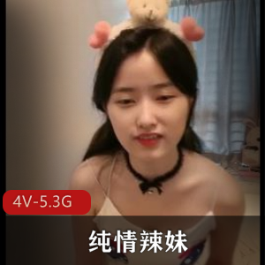 19岁广州小姐姐纯情辣妹2+[4V5.3G]