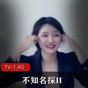 不知名探H平台火热合集1V1.4G，自拍对话有趣，时长一小时，画质一般，适合轻松观看。