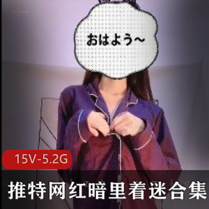 推网红某推暗里着迷合集15V5.2G，身材白皙展示