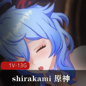 游戏合集+4K平台+高清整合+shirakami原神崩坏三作品+视频数量1+大小13G，包含多位原神角色，时长24分20秒，尽享视觉盛宴！