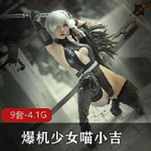 爆机少女合集草莓味的奈奈兔最新9套4.1G，自购资源
