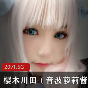 麻豆樱木川田性感剧情片合集2部1.6G超诱人