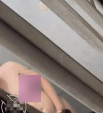 外站隔壁女邻居拍摄1部绝密偷窥112.3MB