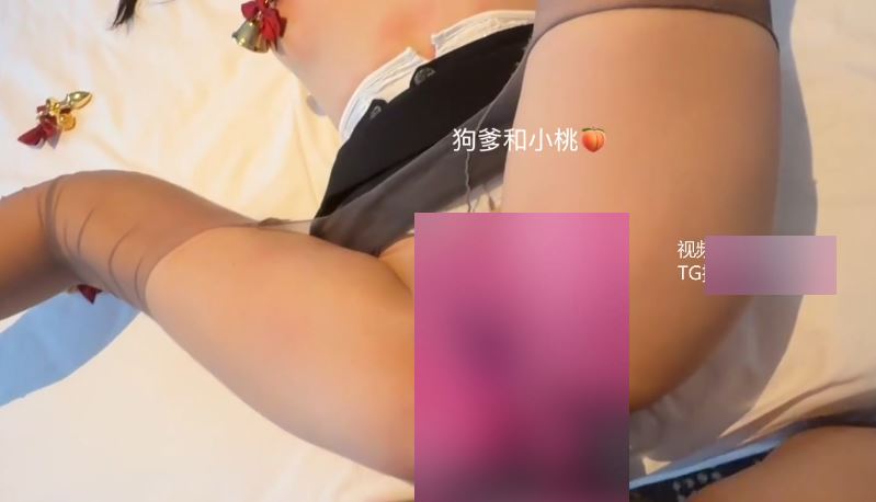 狗爹小桃圣诞灰丝铃铛特辑2V266M身材劲爆