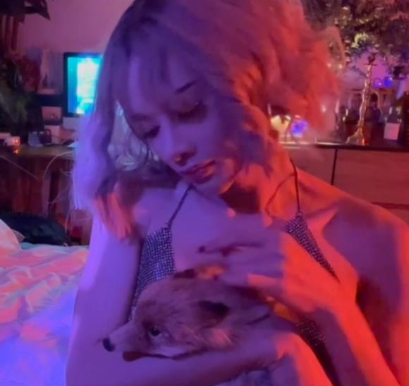 WitchyFox泰国高颜值TS伪娘私密合集42部30G撩人