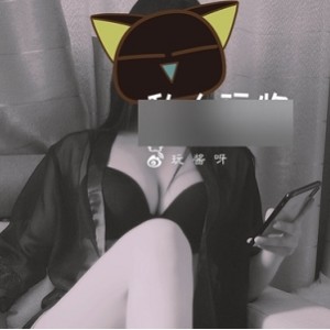 私人玩物绝美私拍合集100P+3V1.53G长腿惹火