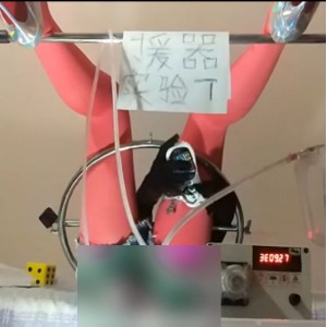自行打包援器学会5部束缚视频1.2G特殊电机太带劲
