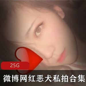 23G微博恶犬御姐百变合集几十部瓜子脸太勾人